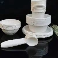 Disposable Cornstarch Tableware Set