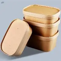 Disposable Lunch Box