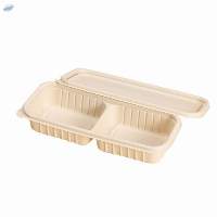 Degradable Bento Lunch Box