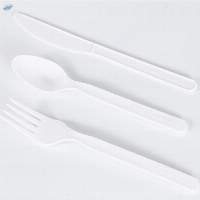 PLA Compostable Cutlery