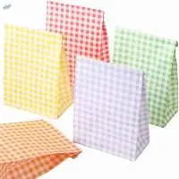 Color Checkered Paper Bag