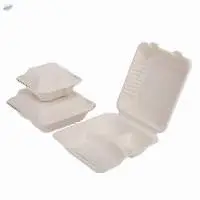 Disposable Lunch Box