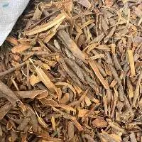 Cinnamon