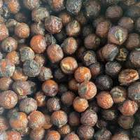 Soap Nut
