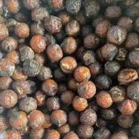 Soap Nut