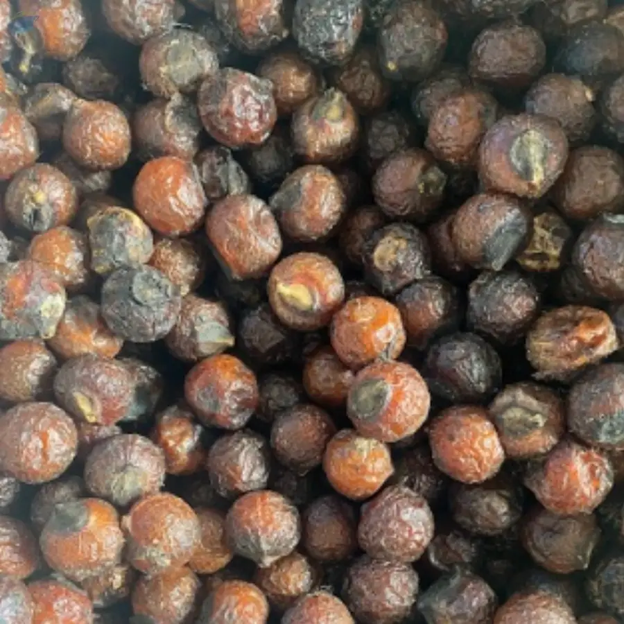 Soap Nut