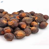 Indian Soapberry