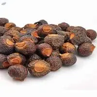 Indian Soapberry