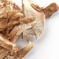 Matsutake Mushroom