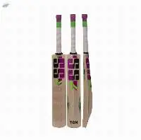 Josh Kashmir Willow Cricket Bat