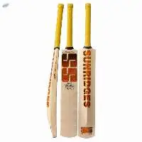 Rapier Kashmir Willow Cricket Bat