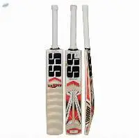 SS Master Kashmir Willow Cricket Bat
