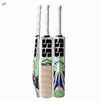 SS Master 100 Kashmir Willow Cricket Bat