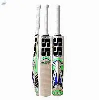 SS Master 100 Kashmir Willow Cricket Bat