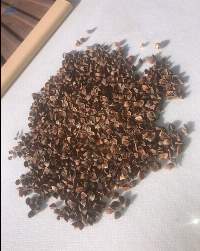 Buckwheat