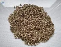 Milk Thistle
