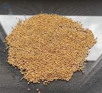White Mustard Seeds
