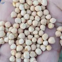 Chickpeas Kabuli