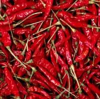 Whole Dry Red Chili
