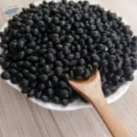 Soya Beans