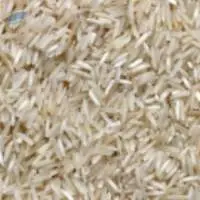 Basmati Rice