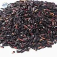 Black Rice