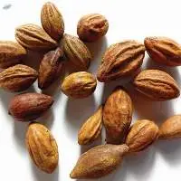 Haritaki Seed