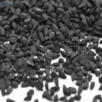 Babchi Seed