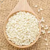 Sesame Seeds
