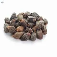 Neem Seed