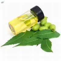 Neem Seed Oil