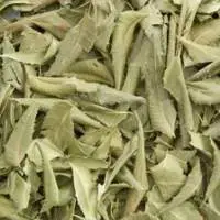 Dry Neem Leaves