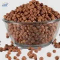 Black Chickpeas