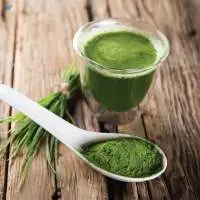 Wheatgrass