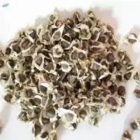 Moringa Seed