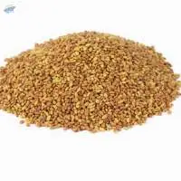 Alfalfa Seed