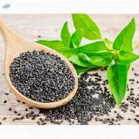 Basil Seed