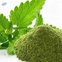 Mint Powder
