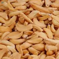 Dehydrated Garlic Flakes