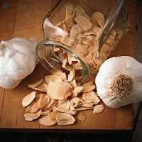 Garlic