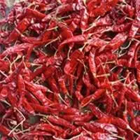 S4 Chilli/ Sanam Chilli