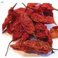 Ghost Pepper/ Bhut Jolokia Chilli