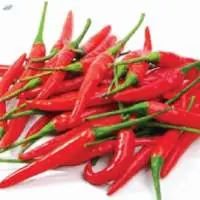 Birds Eye Chilli