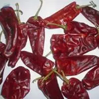 Bholar Chilli
