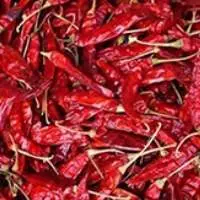 Byadgi Chilli