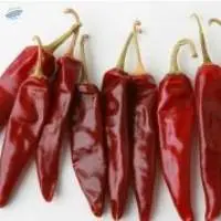 Kashmiri Chilli