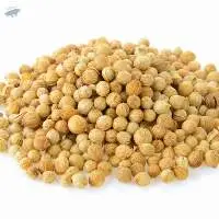 Coriander Seed