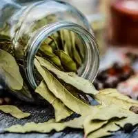 Bay Leaves