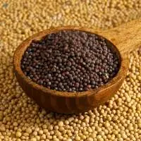 Mustard Seed