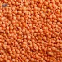 Split Lentils Seed